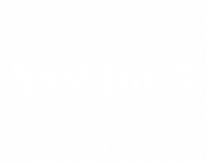 samsung_valk